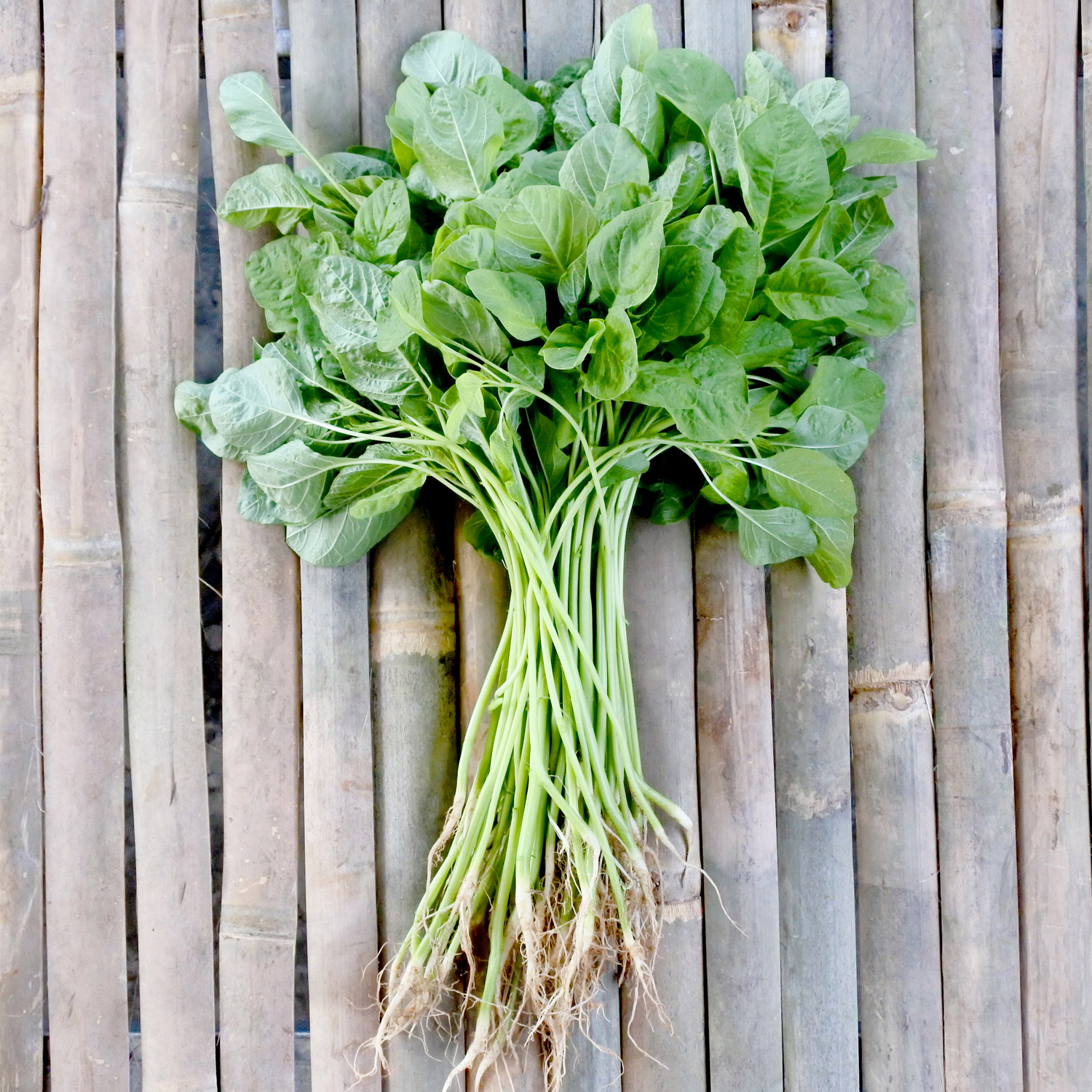 Green Amaranth