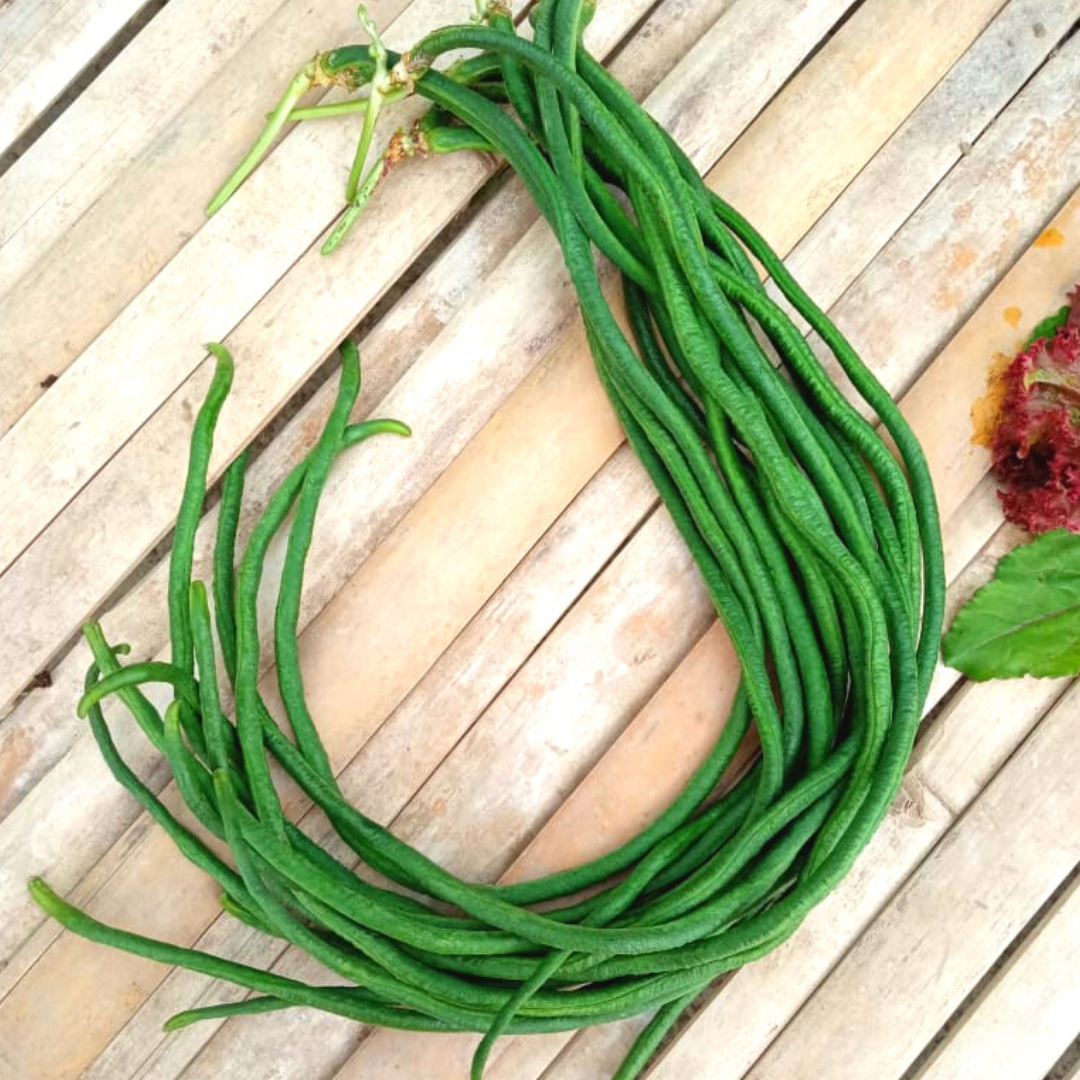 Yard Long Bean