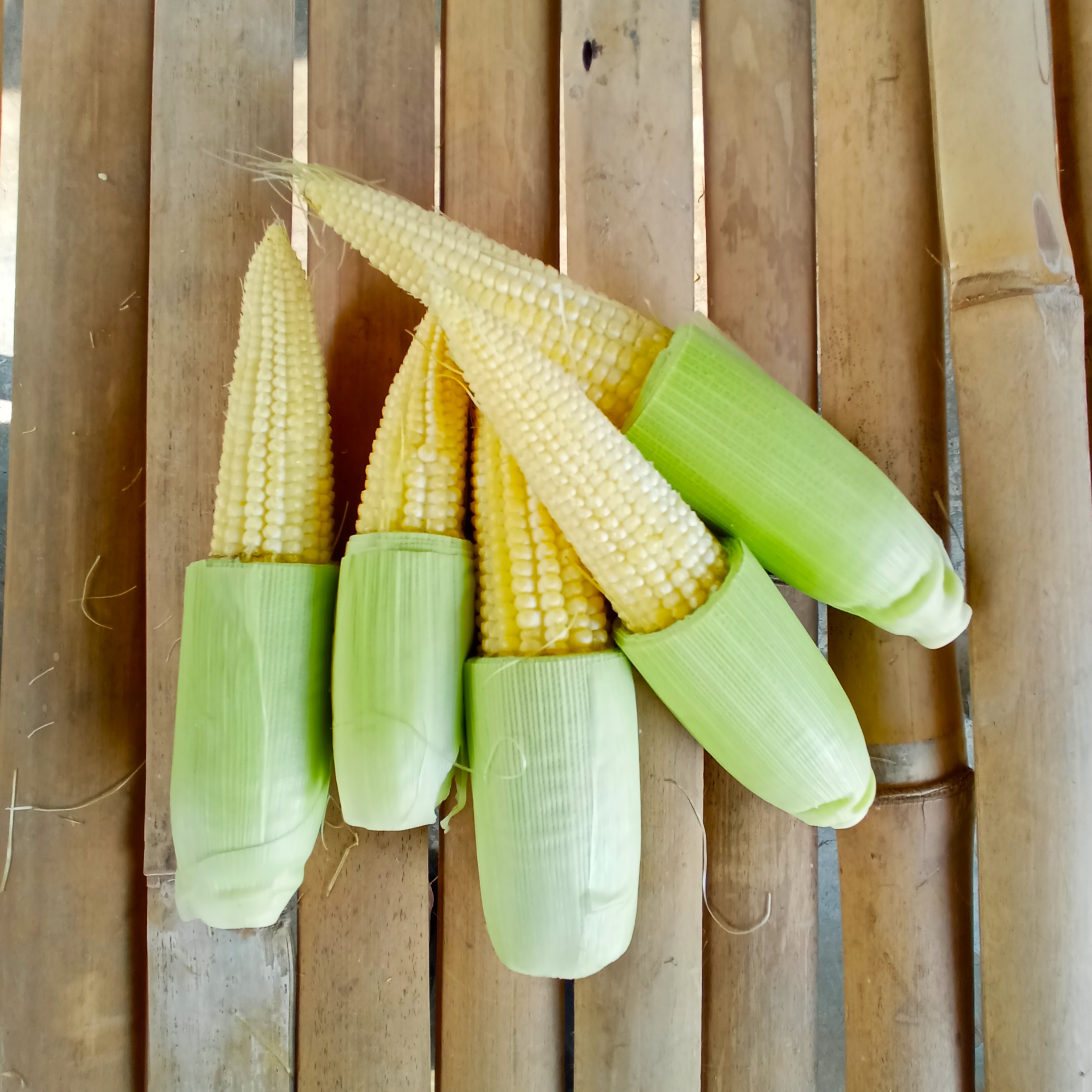 Baby Corn