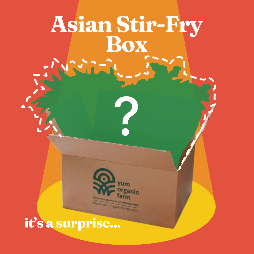 Asian Stir-Fry Box