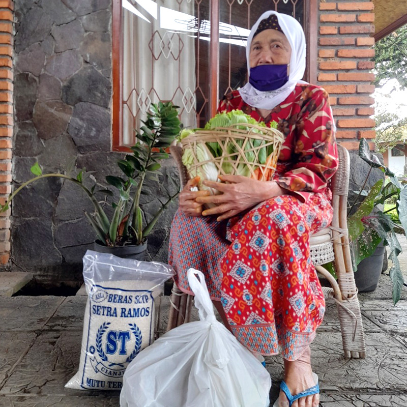 DONATE Vegetables & Rice