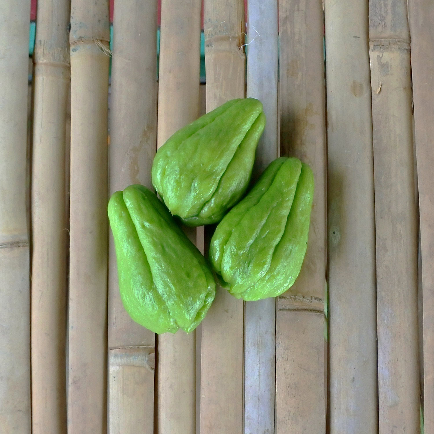 Chayote