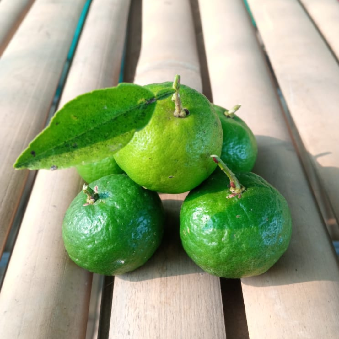 Kaffir Lime