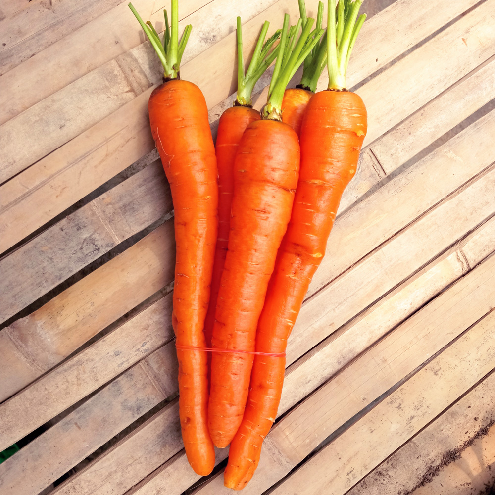 Carrot