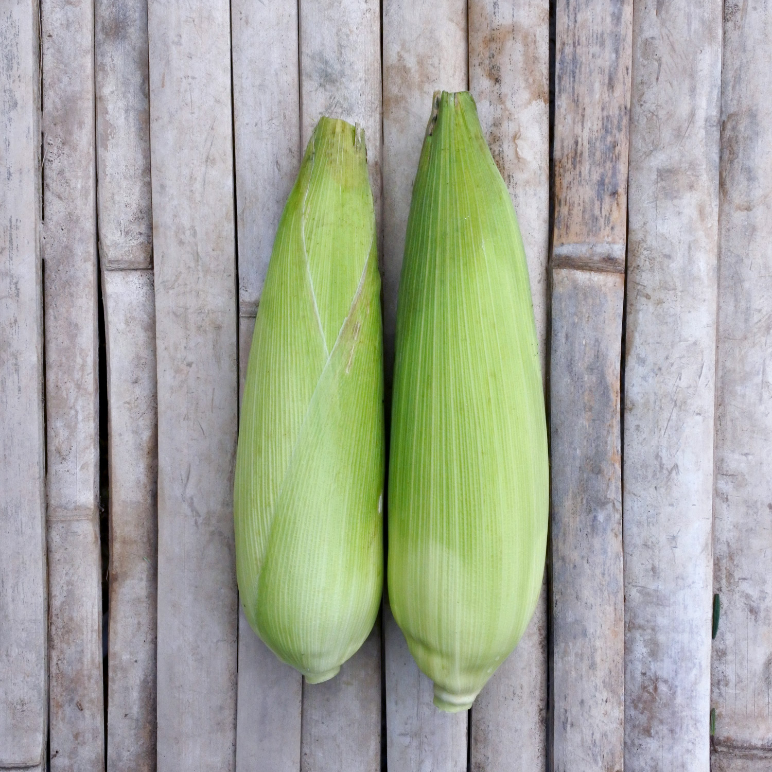 Sweet Corn