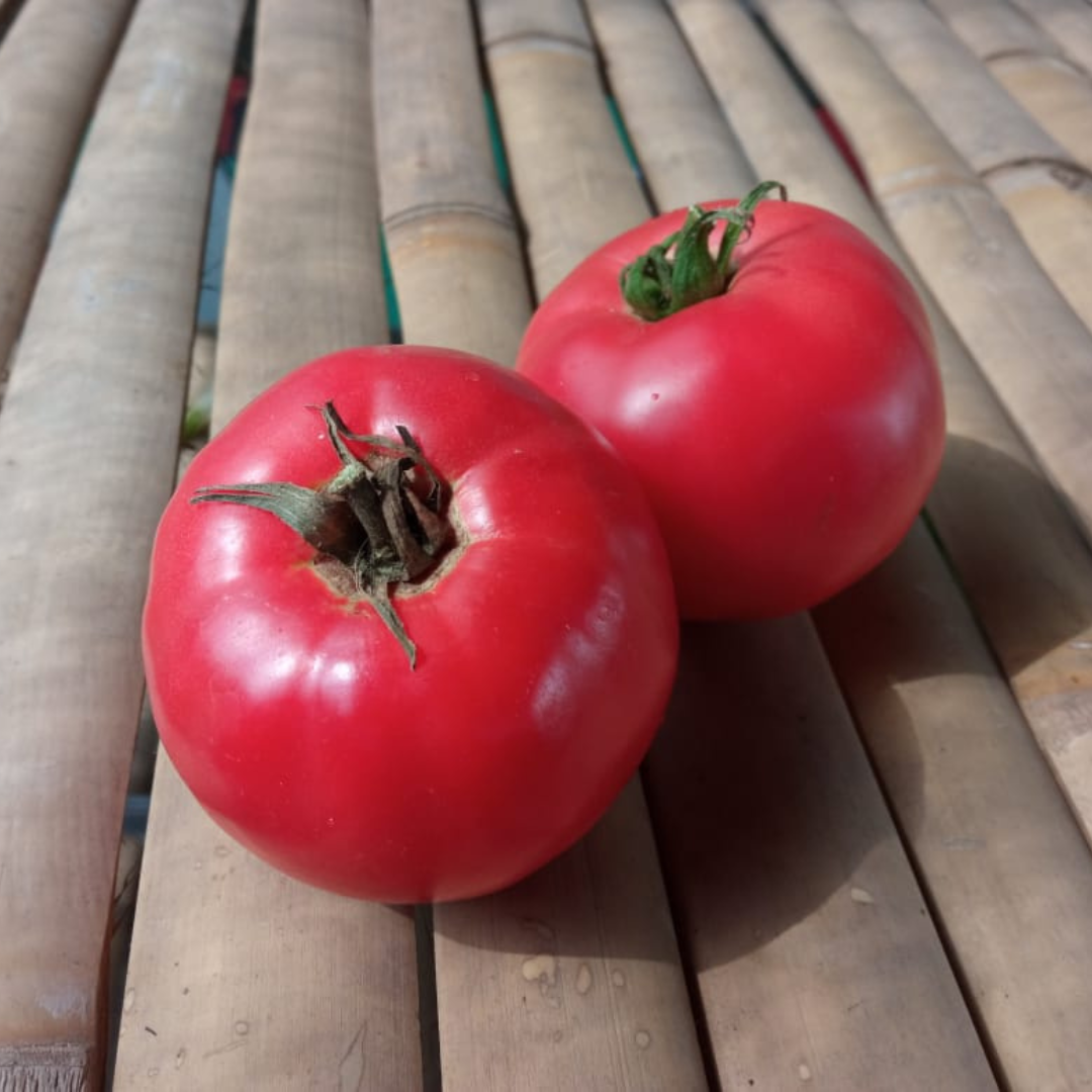 Tomato Beef (Momotaro)