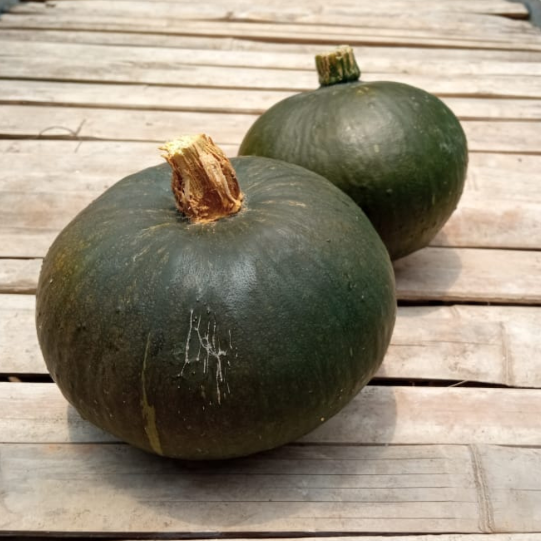 Green Kabocha