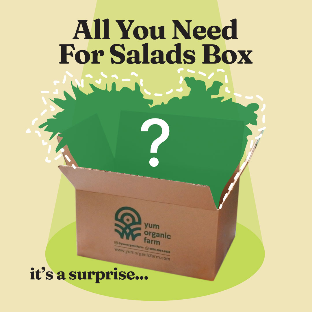 All You Need For Salads Box