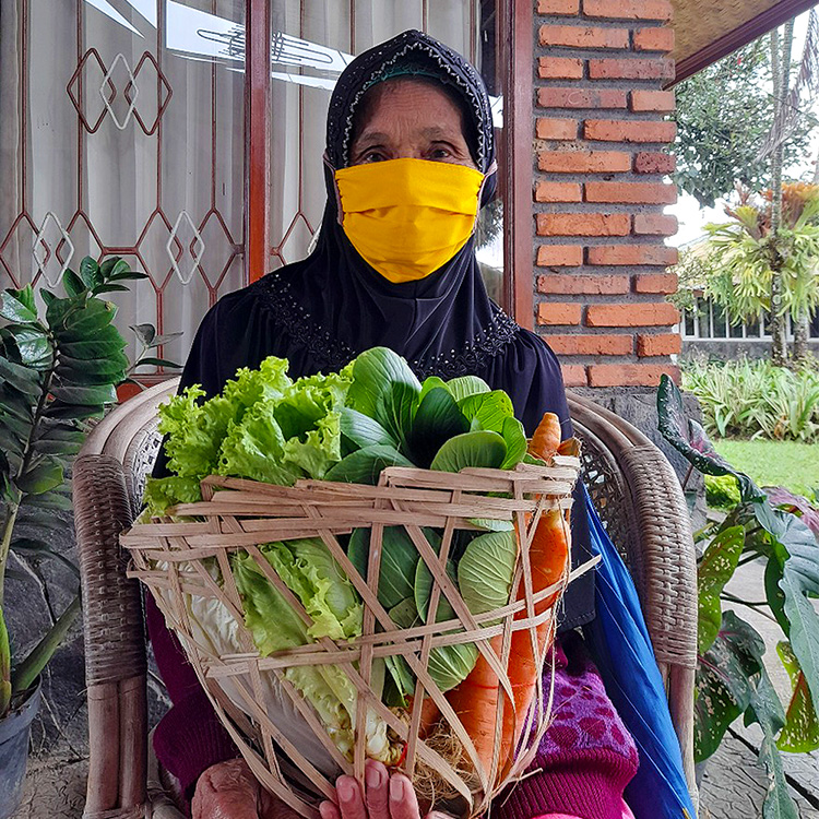 DONATE Vegetables