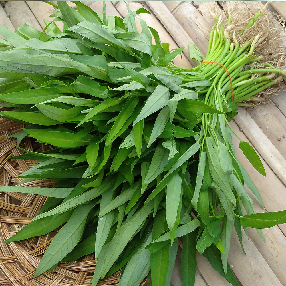 Water Spinach