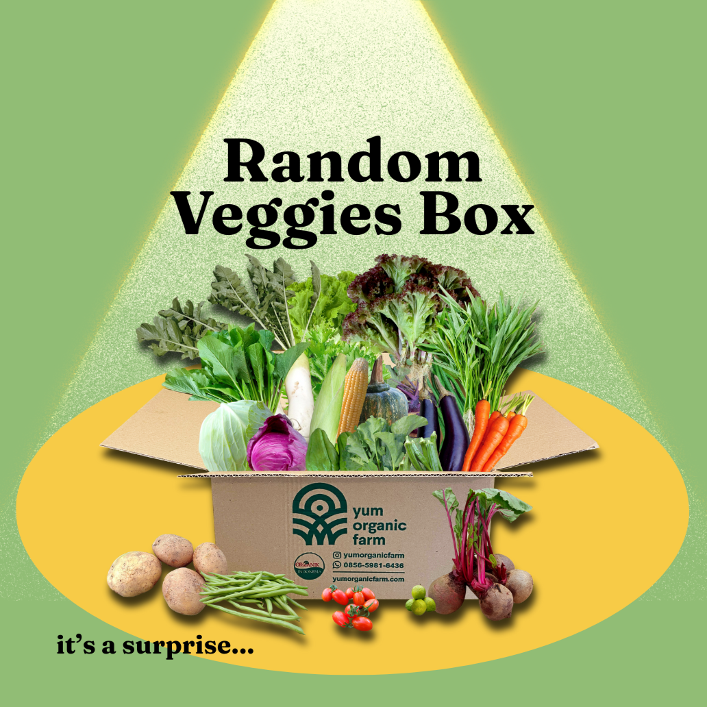 Random Veggies Box